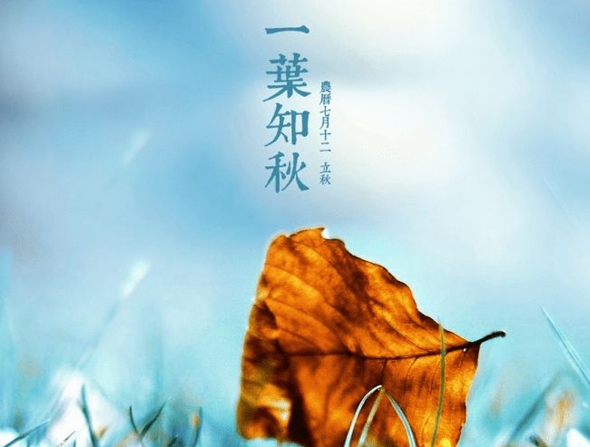 一叶知秋之立秋，万物出于晨